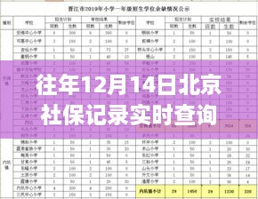 北京社保实时查询系统，科技助力无忧生活查询体验