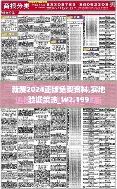 新澳2024正版免费资料,实地验证策略_W2.199