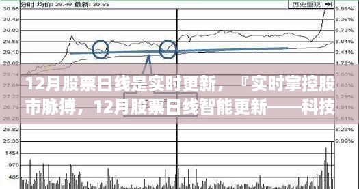 2024年12月17日 第47页