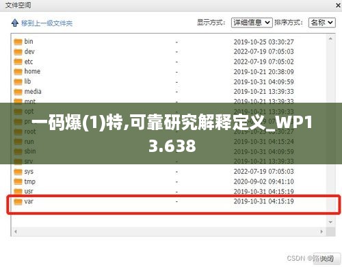 一码爆(1)特,可靠研究解释定义_WP13.638