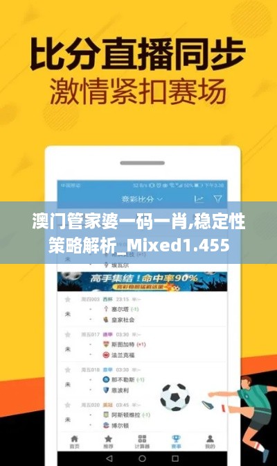 澳门管家婆一码一肖,稳定性策略解析_Mixed1.455