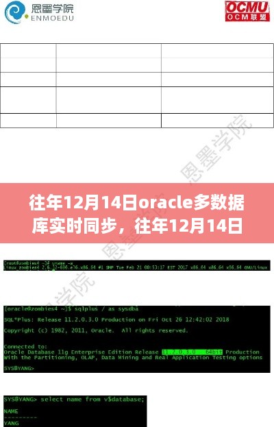 Oracle多数据库实时同步技术解析与案例分析，历年经验分享与案例分析（往年12月14日）