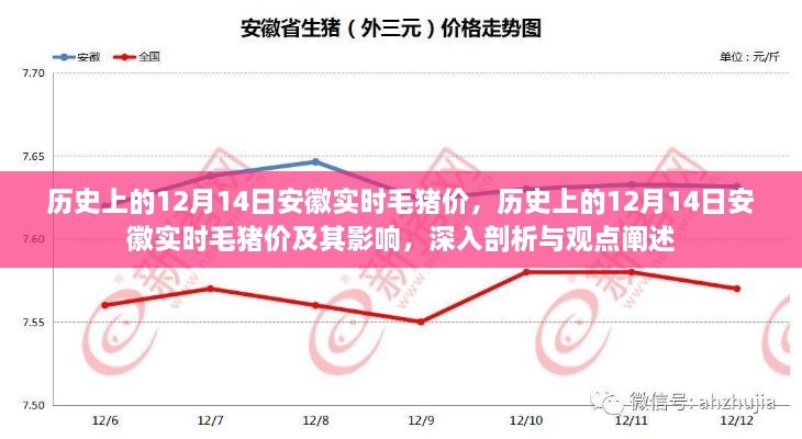 历史上的12月14日安徽毛猪价深度解析，实时价格及其影响