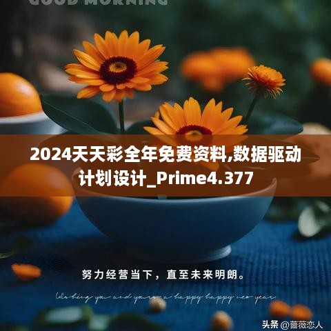 2024天天彩全年免费资料,数据驱动计划设计_Prime4.377