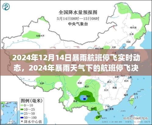 2024年12月17日 第17页