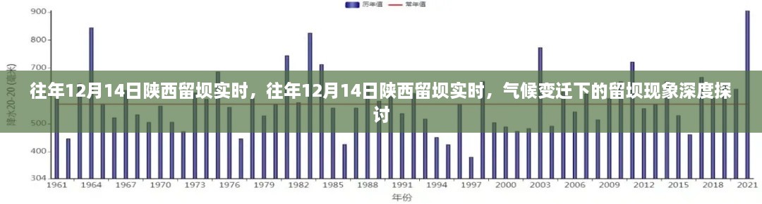 深度探讨，陕西留坝气候变化现象与影响分析——历年12月14日的观察与反思