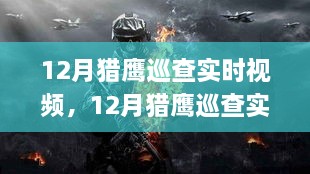 12月猎鹰巡查实时视频，监管与透明的双刃剑效应解析