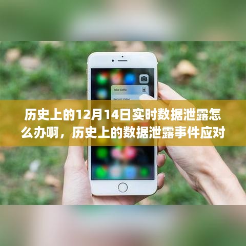 应对历史数据泄露事件，以12月14日为例的应对策略探讨