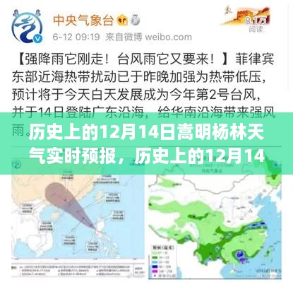 历史上的12月14日嵩明杨林天气实时预报，回顾与观点分析