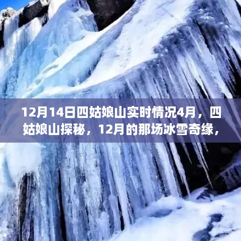 四姑娘山探秘，冰雪奇缘与自然的治愈力量之旅