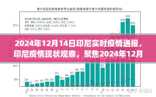 2024年12月14日印尼疫情深度观察与实时通报