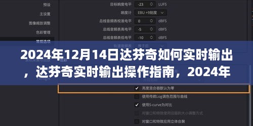 达芬奇实时输出操作指南，揭秘达芬奇在2024年12月14日的实时输出技巧与操作指南