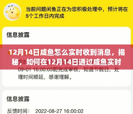 揭秘，如何在12月14日通过咸鱼实时接收消息，掌握最新动态