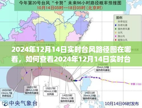 如何查看2024年12月14日实时台风路径图，详细步骤指南