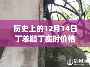 揭秘历史丁苯顺丁实时价格走势，秘境小巷中的价格奥秘与趋势揭秘