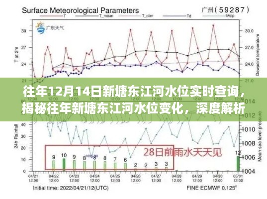 揭秘往年新塘东江河水位变化，深度解析与实时查询指南（实时更新至往年12月14日）