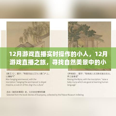 12月游戏直播之旅，探寻自然美景中的小人与心灵宁静之旅