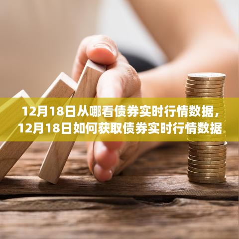 12月18日债券实时行情数据获取指南，全方位教程