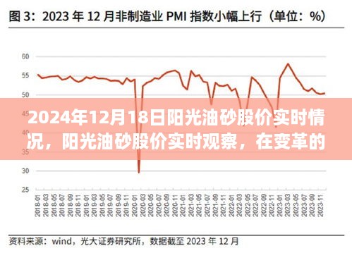 2024年12月19日 第17页