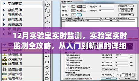 实验室实时监测详解，从入门到精通的步骤指南