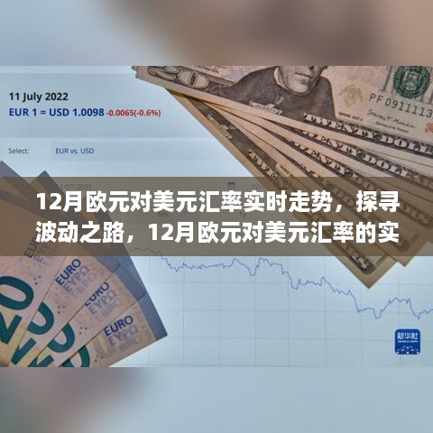 12月欧元对美元汇率实时走势解析，波动之路与影响洞察