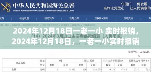 一老一小实时报销制度深度解读及其影响，2024年12月18日观察