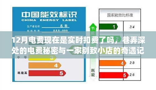 巷弄深处的电费秘密，实时扣费与别致小店的奇遇月账单解读