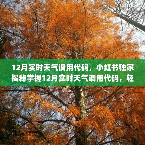 小红书独家揭秘，掌握12月实时天气调用代码，应对寒冬天气变化！