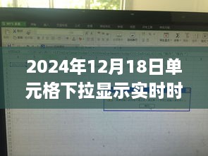 2024年12月19日 第2页