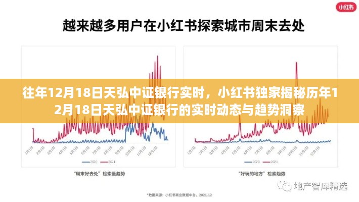 2024年12月20日 第11页