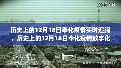 科技守护新生活，奉化疫情实时追踪重塑未来防线，历史上的12月18日数字化追踪回顾