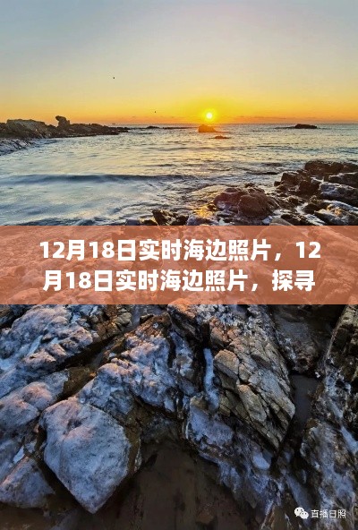 探寻冬日海边魅力的实时照片分享，12月18日的海边美景