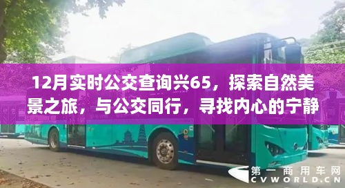 探索自然美景之旅，实时公交查询兴65，公交同行寻找心灵宁静之地