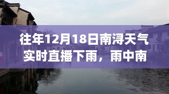 雨中南浔之旅，寻找内心的宁静与自然的庇护——南浔实时天气直播报道