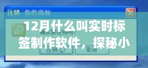 探秘小巷深处的宝藏店，实时标签制作软件揭秘与神奇工艺探询