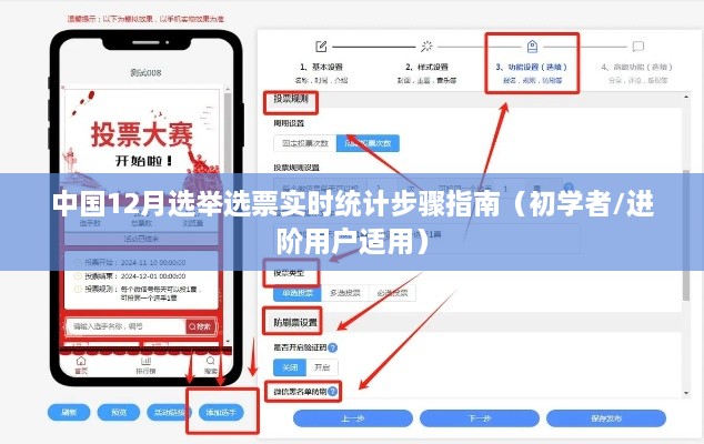 中国选举选票实时统计指南，初学者与进阶用户的步骤详解（12月版）