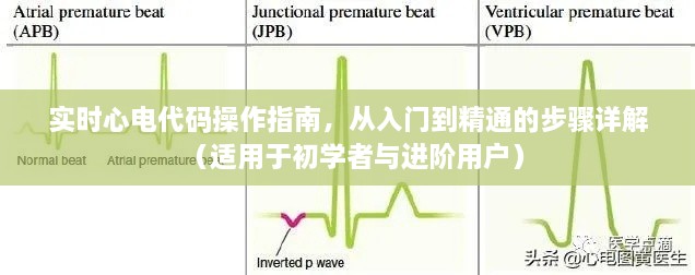 实时心电代码操作详解，从入门到精通的指南（适合初学者与进阶用户）