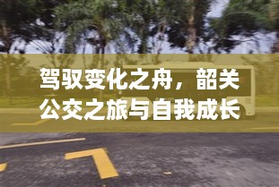 驾驭变化之舟，韶关公交之旅与自我成长的蜕变