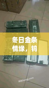 冬日金条情缘，钨金条背后的温情篇章