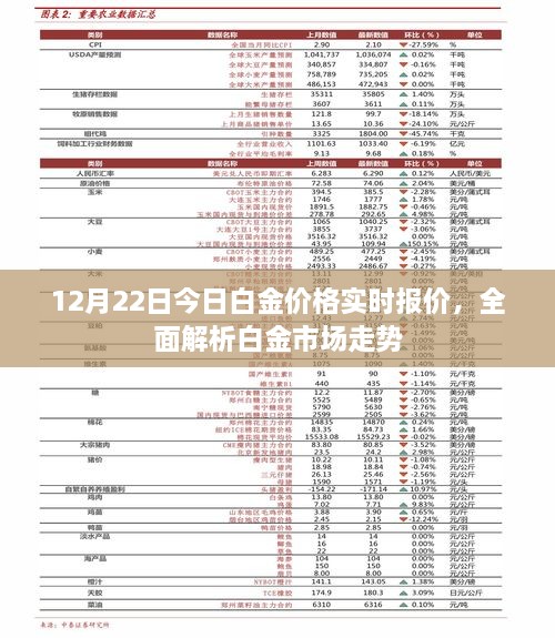 白金市场走势解析与实时价格报价（12月22日更新）