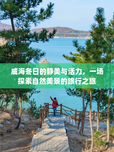 威海冬日的静美与活力，自然美景探索之旅