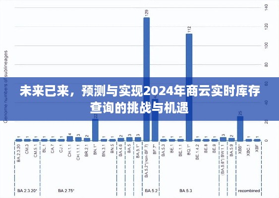 未来已来，商云实时库存查询的挑战与机遇展望至2024年