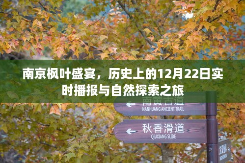 南京枫叶盛宴，历史播报与自然探索之旅的纪念时刻