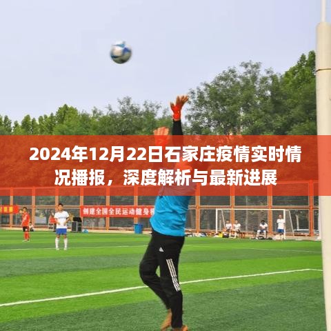 2024年12月22日石家庄疫情实时播报，深度解析与最新进展