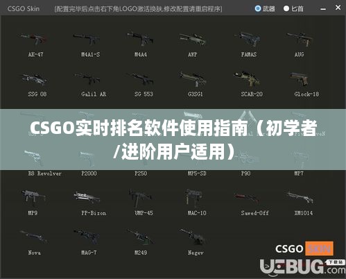 CSGO实时排名软件使用指南，适合初学者与进阶用户