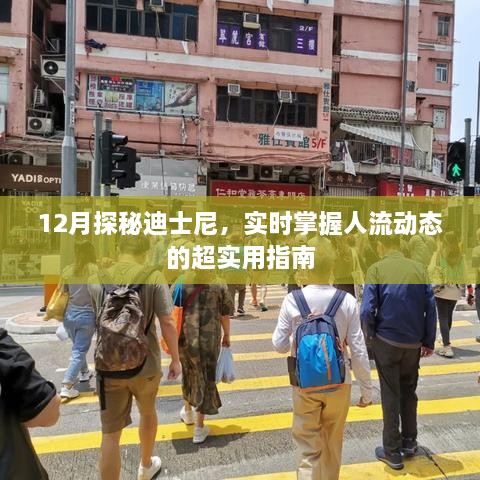 12月探秘迪士尼，掌握人流动态的实用指南