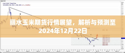 丽水玉米期货行情展望至2024年12月22日，深度解析与预测