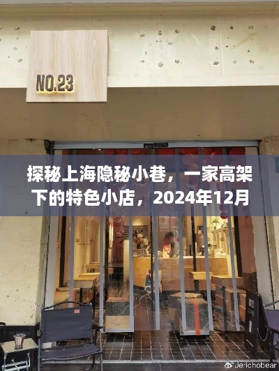 探秘上海隐秘小巷，高架下特色小店的未知风情，2024年12月22日探秘之旅