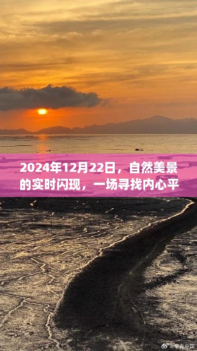 寻找内心平静之旅，自然美景的实时闪现——2024年12月22日