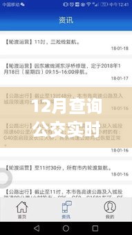 探讨，12月查询公交实时行情的最佳策略与方法